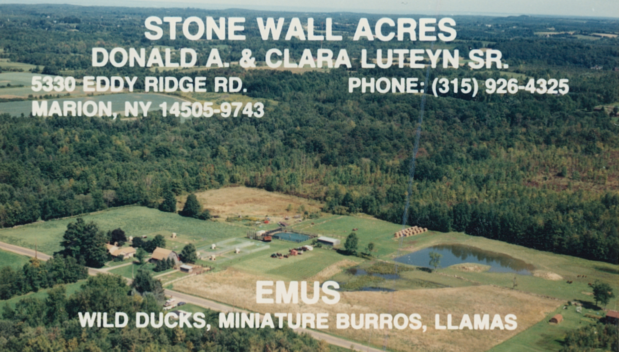 Mar-13 5330 Eddy Ridge Rd 3